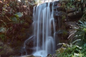 205- LITTLE SILKY FALLS”