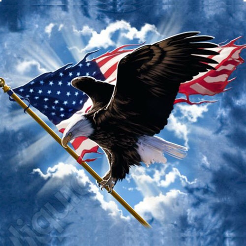 American Flag Eagle Art Center Of Citrus County