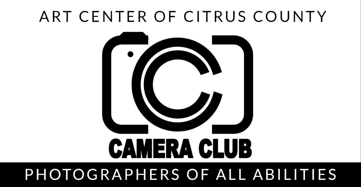 Art Center Camera Club February Competition