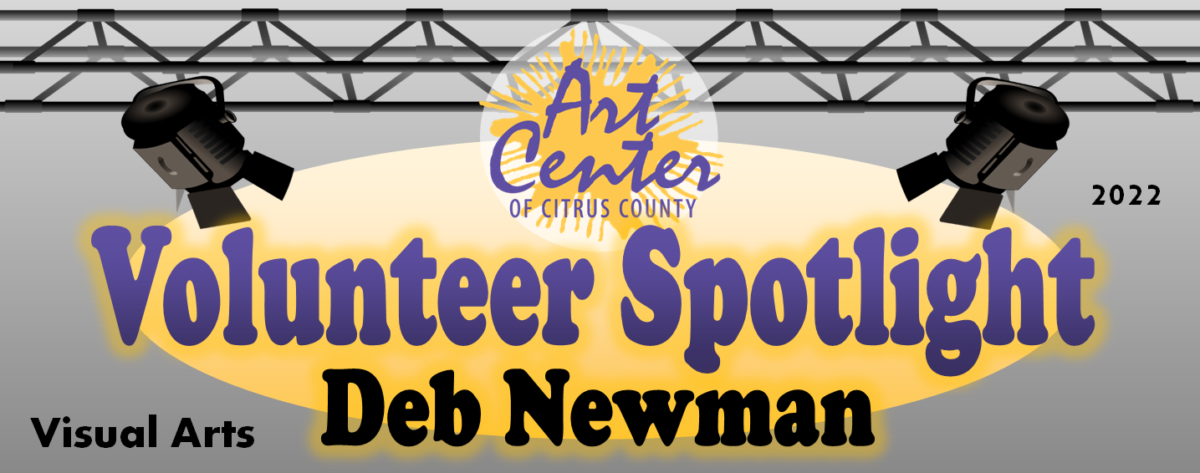 Volunteer Spotlight: Deb Newman – Visual Arts