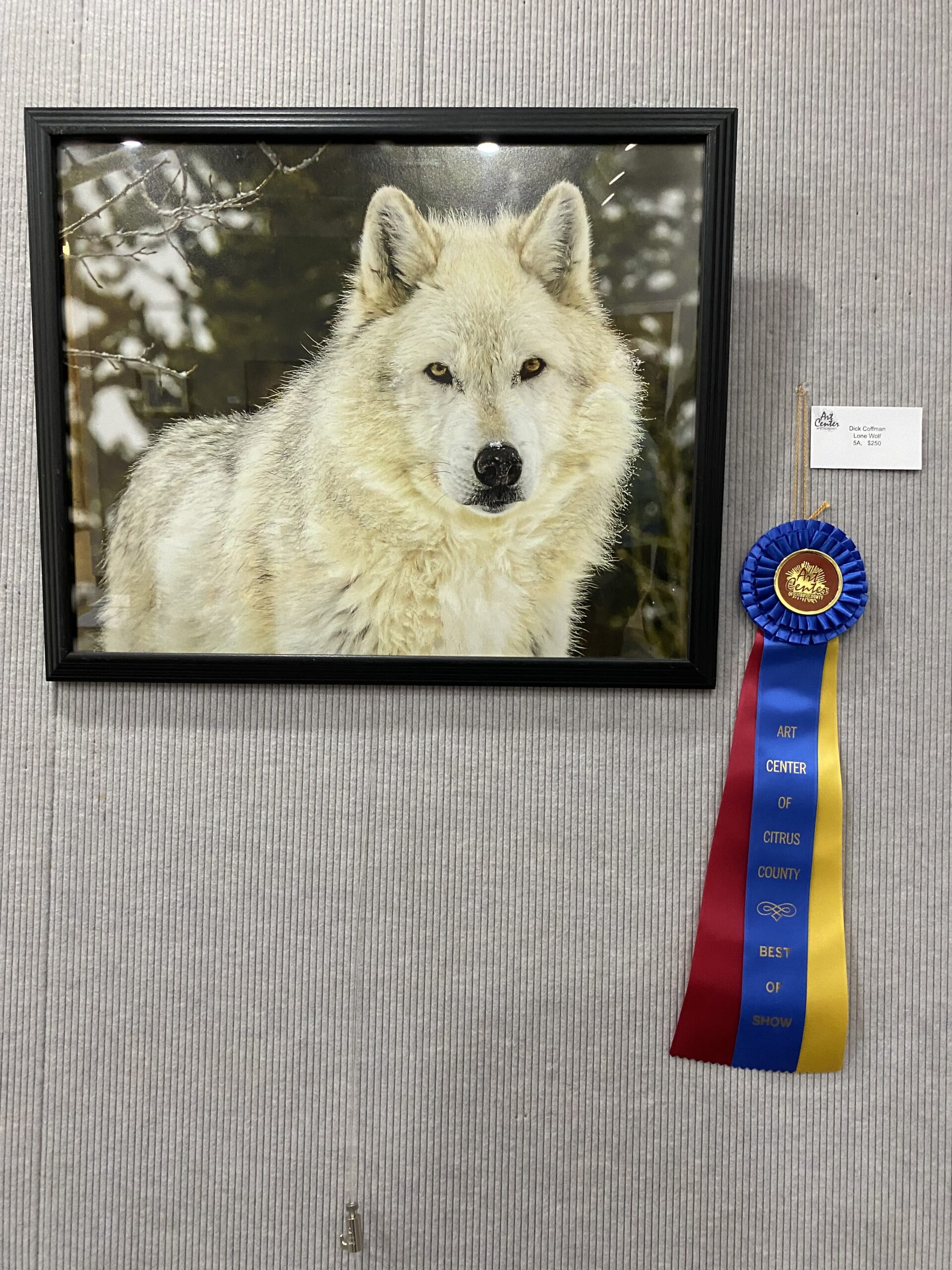 Nature Coast Exhibit No.1 Winners