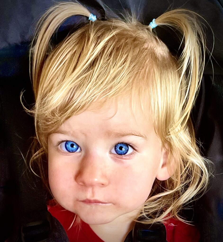 baby-blue-eyes-art-center-of-citrus-county