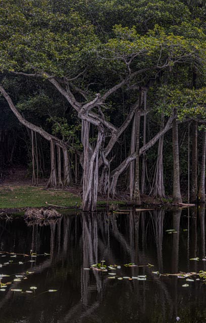 Dusk For A: A Haunting Meditation On Memory, Loss, And The Ghosts Of Technology